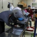 솔바우마을 이미지