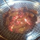 서울갈매기
