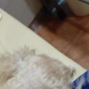 옹기종기 이미지