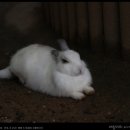 황간휴게소(상행) 이미지