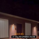 스테이 사선