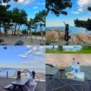 전하체육센터 | 울산 주전 보밑항 피크닉장 무료 방문 후기 (예약방법, 운영시간, 명당자리)