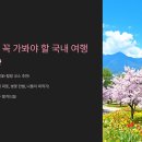 경포대보헤미안 | 🌸올해 봄, 꼭 가봐야 할 국내 여행지 TOP 7!🌸