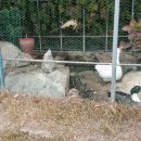 근흥농장 이미지