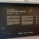 데이트 코스 추천! 푸른 정원이 아름다운 도모헌과 2026 부산모빌리티쇼 특별 전시 후기(위치,주차,전시)