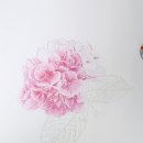 보테니컬 이미지