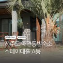 제주도[조천읍 대흘리] - 스테이대흘(애견동반숙소,펜션)