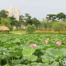 축제로 만나는 부여 여행 이미지