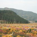 H8525 Daum카페
