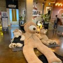 수원-0955 이미지