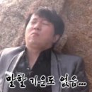 신한러브투어 | [웨딩링] 웨딩밴드 투어(2) _ 까르띠에 부쉐론 쇼메 피아제 착용후기