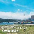 주식회사 요트탈래 이미지