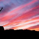 수석단과학원 이미지