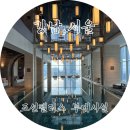 우리들사우나 | 조선팰리스 호캉스 후기(3)::수영장 헬스장 사우나 웰니스