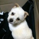 자유로 동물병원 이미지