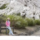 춘천 의암호, 강촌 폐역..(24. 04. 10) 이미지