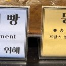 해븐