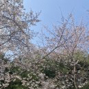 와인브라더스화성남양점 이미지
