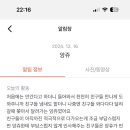 도그베이 미사점 이미지