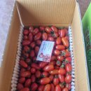 해들농장 이미지