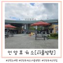 언양(서울)주유소 이미지