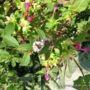 영생농장 이미지