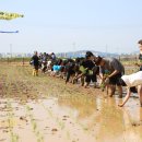 연암대학교 이미지