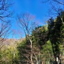 학송목장 | 부산근교나들이..양산홍룡폭포의겨울.대덕마을다리집식당.작원관지(작원잔도트래킹).천태산부은사...