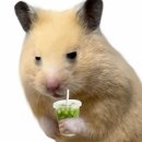 주품북까페 | 시월이 오기전에 열심히 돌아다녔습니다.