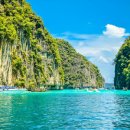 블루몽키 이미지