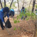 일산자생한방병원 이미지