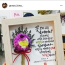 로로캔들리
