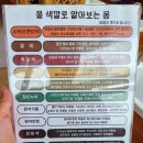 사우동족욕 물 색깔로 확인하는 내 몸 상태 힐링다해소 체험 후기