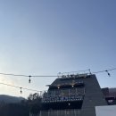 미앤마이독스 | 북한강변 애견카페 미앤마이독스 방문후기