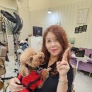 도로시 헤어샵 이미지