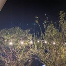 거제글램퍼스 이미지