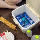 진등3길 | 물 속성 인간들의 여름휴가 강원도 3박 4일(1) 삼척 스노클링, 고성, 속초