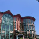 복골순두부 이미지