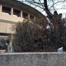 세진동물병원 이미지