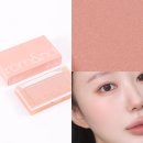 봄앤가을 | 롬앤 베러댄치크 태니칩 후기 봄웜 여쿨도 예뻤던 가을 블러셔