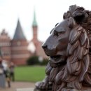 (주) 지닌 이미지