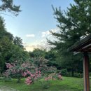 양지천3 이미지