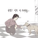 일보람주