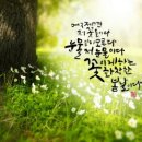 캘리그라피(1급) 이미지