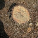 금계2리 이미지