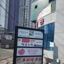 조례1길 | [후기] 공간만으로도 힐링되는 순천이색데이트, 테라리움원데이클래스 <테라코브>