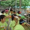 서부병설유치원 이미지