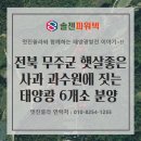 햇살태양광발전소 이미지