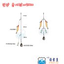 프로호