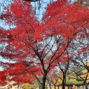 계남초교 이미지